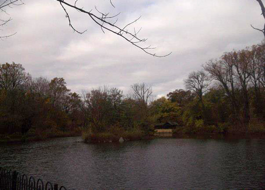 Boat House Island, Druid Hill Park